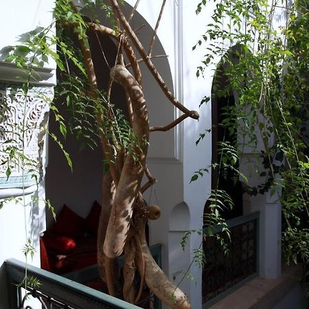Hotel Dar Malak Marrakesz Zewnętrze zdjęcie