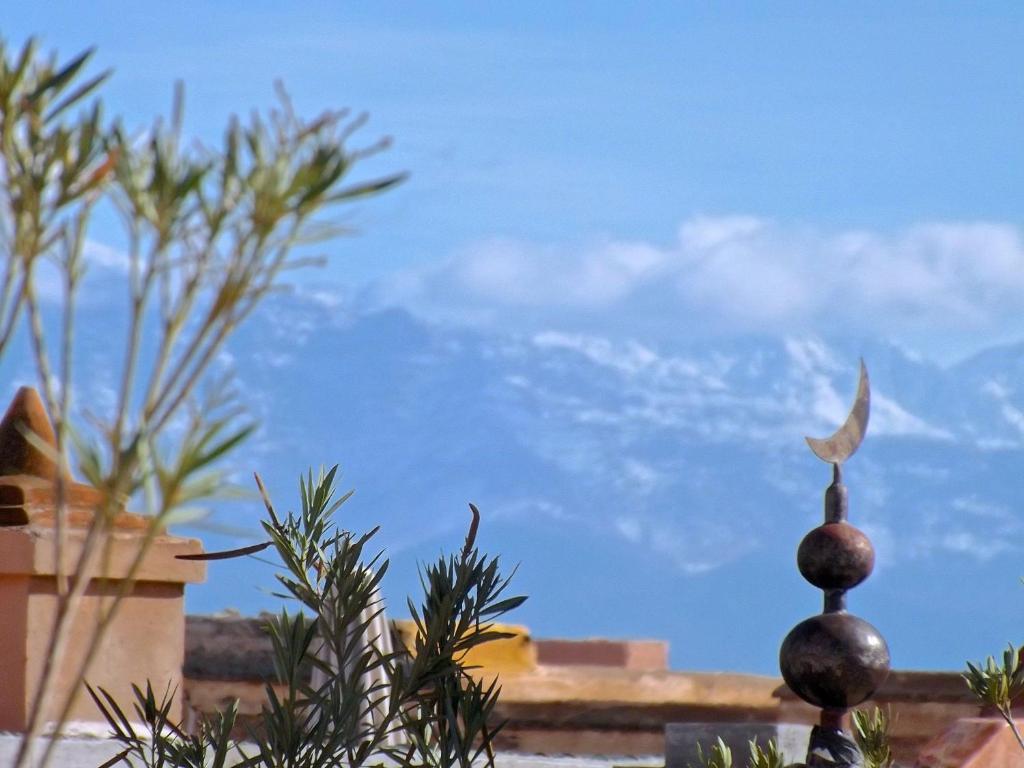 Hotel Dar Malak Marrakesz Zewnętrze zdjęcie